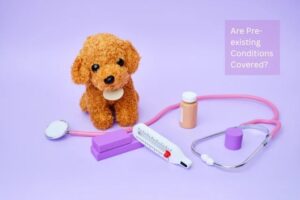 Are Pre-existing Conditions Covered?
