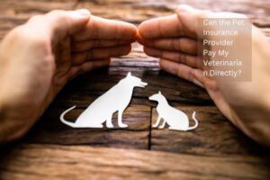 Can the Pet Insurance Provider Pay My Veterinarian Directly?