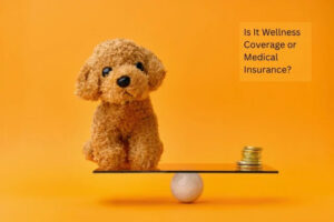 Is It Wellness Coverage or Medical Insurance?
