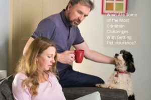 What Are Some of the Most Common Challenges With Getting Pet Insurance?
